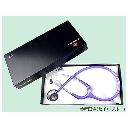 0125B215 フレアライト1252紫