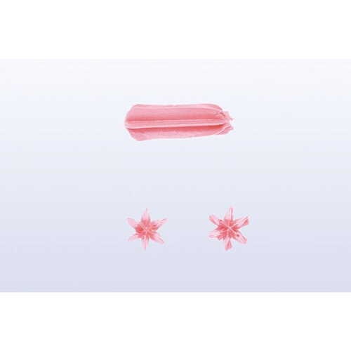 480200 口金 ディープカット