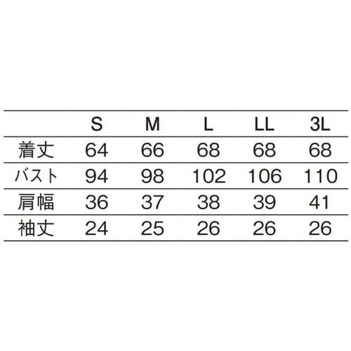 619−25 S パフスリーブブラウス