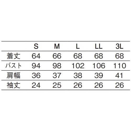619−25 L パフスリーブブラウス