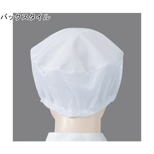 APK484−2フリーキャップミント2枚