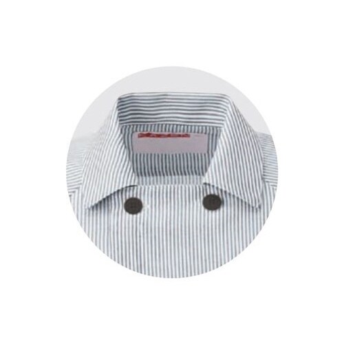 衿付きコックシャツ ブラックストライプ