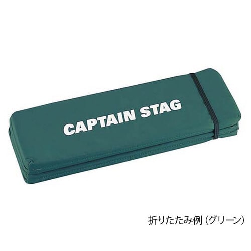 FDザブトン グリーン M−3302