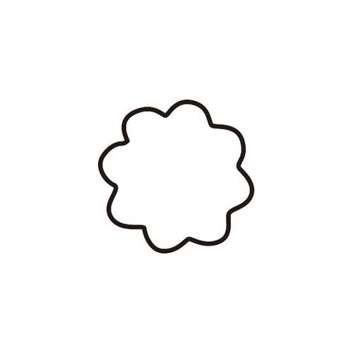 生抜 3PC 菊の花 078123