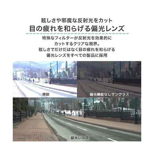 偏光サングラス ブラウンデミ BW−0222F