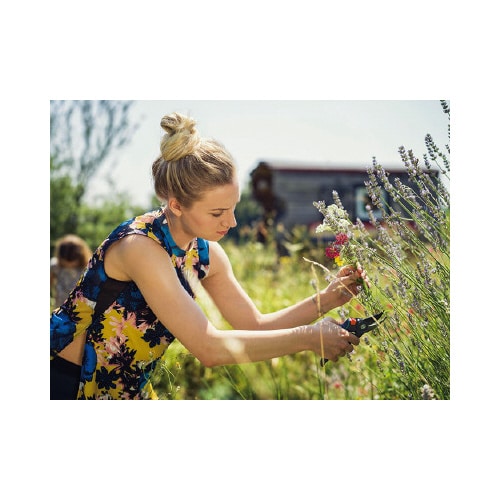 園芸用はさみ ハンドル調整可