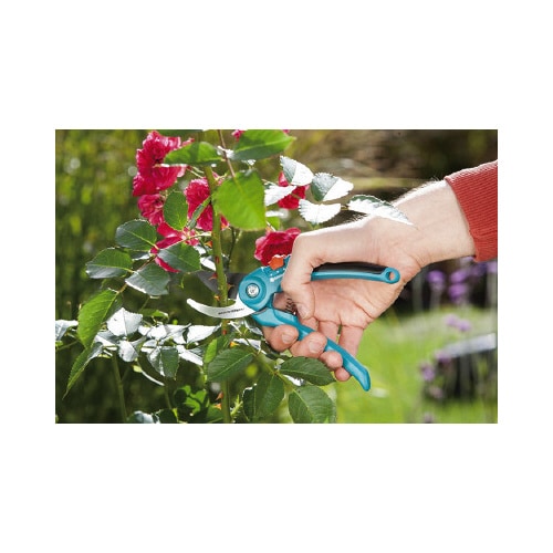 剪定ばさみ(直径22mm対応)バイパス型