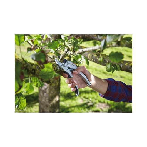 剪定ばさみ アンビル型 ラチェット式