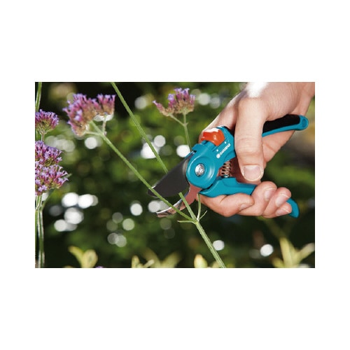 剪定はさみ (直径20mmまで対応)