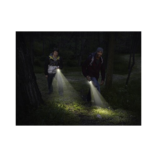 ヴィジョンハンドライト PMZH21