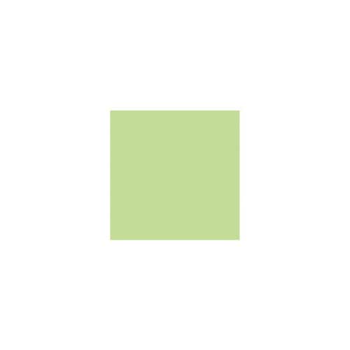 色画用紙 8ツ切 100枚 若草