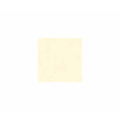 やよいカラー 8ツ切 きぬいろ 100枚