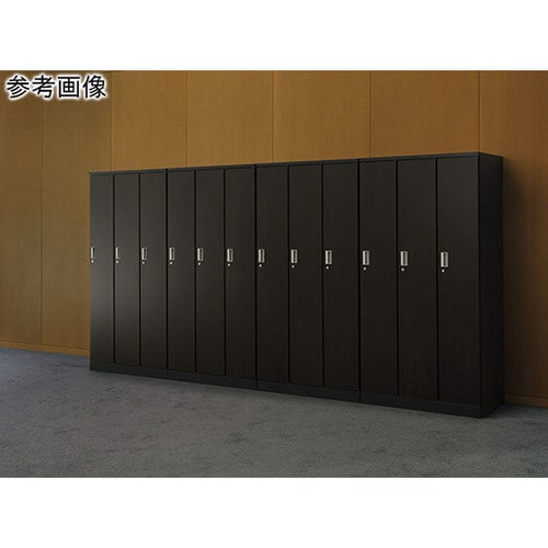 プロミネントロッカー