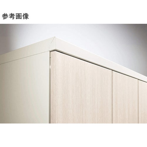 ロカーナLOC−C22−04WDホワイト