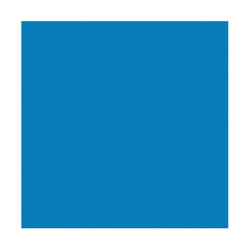 すべり止めスノコ(抗菌仕様) ブルー