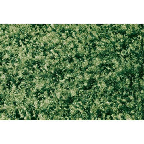 玄関マット グリーン