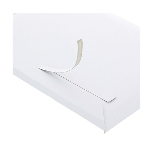 宅配レターケース A4L 白 100枚入