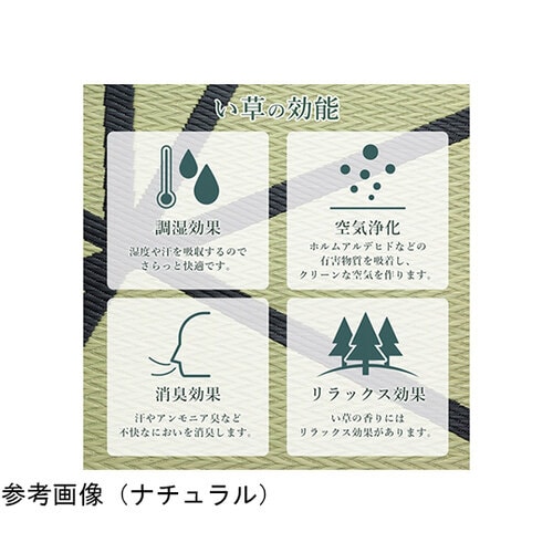 ラグ い草 モダン ウレタン 自然素材