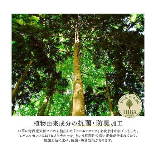 ラグ い草 モダン ウレタン 自然素材