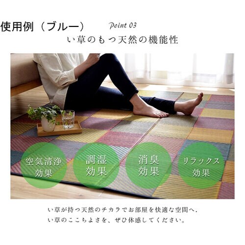 ラグ い草 自然素材 モダン 『DXカラ