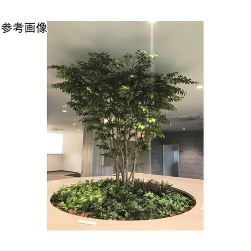 人工植物 ALGM−001