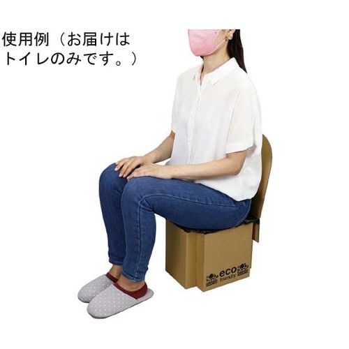 ATエコダントイレ