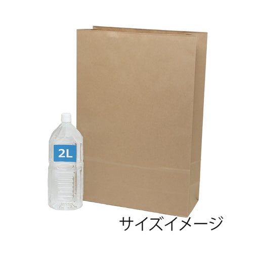 宅配袋 ベロ無し 3L 未晒無地 25枚入