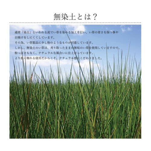 い草 敷きパッド ベビー用 四隅バンド付