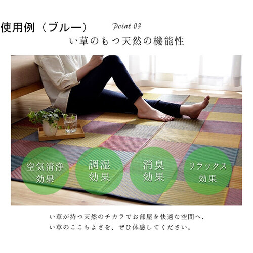 ラグ い草 自然素材 モダン 『DXカラ