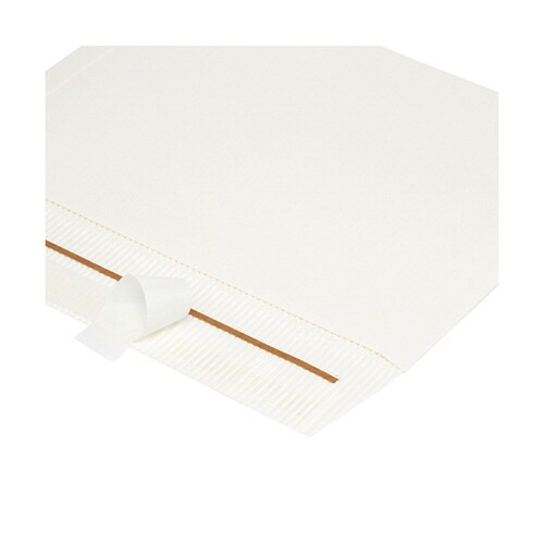 段ボール封筒 M 10枚入