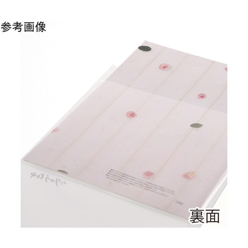 OPP封筒A4片面ホワイト料金別納 100枚