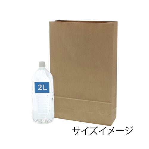 宅配袋 ベロ無し LL 未晒無地 25枚入
