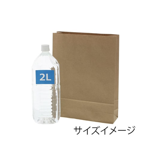 宅配袋 ベロ無し S 未晒無地 25枚入