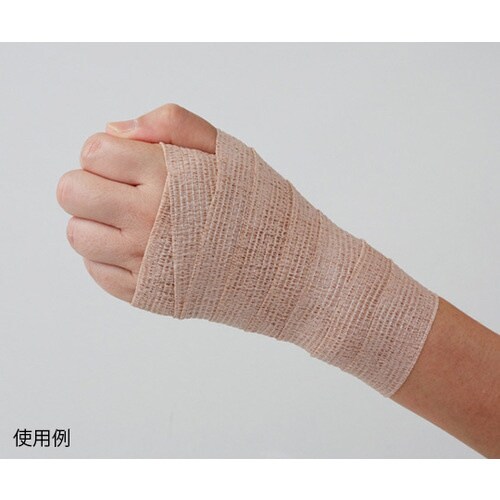 3087822 ハクゾウくっつきタイLF