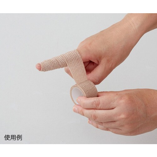 3087822 ハクゾウくっつきタイLF