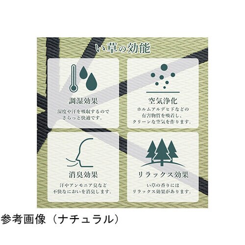 ラグ い草 モダン ウレタン 自然素材