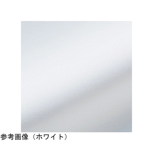 パンツ メンズ ホワイト S