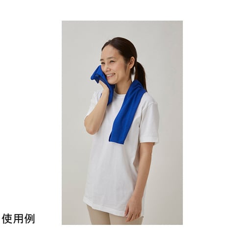 ボトル付ひんやりクールタオル 3色×40組入