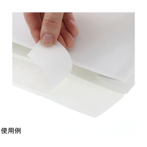 宅配袋 フィルム貼り S 白無地 10枚入