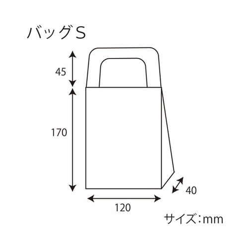 クラフトギフトBOX バッグS 10枚入