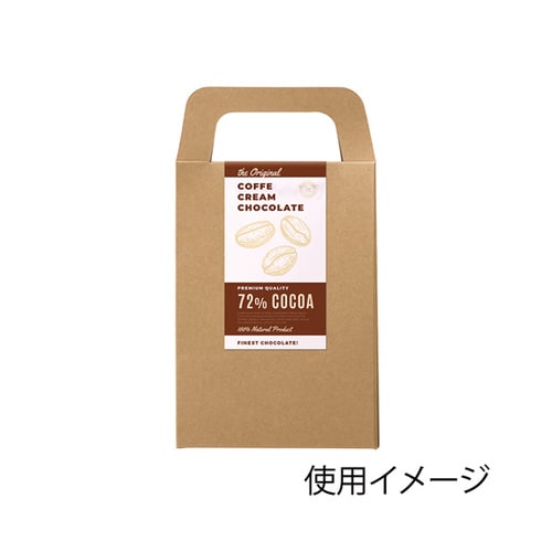 クラフトギフトBOX バッグS 10枚入
