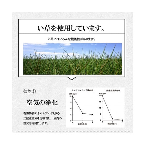 い草 くつろぐ ごろりん ごろ寝 約48×90cm