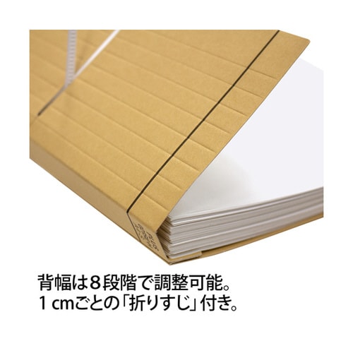 フラットファイル 厚とじ1000 A4−