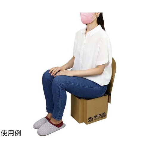 51896 ATエコダントイレ 10回分