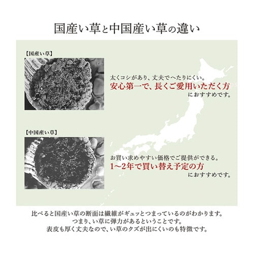 掛川織 花ござ い草 カーペット グリー