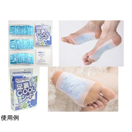 足裏 COOL 樹液シート 30枚×36個入