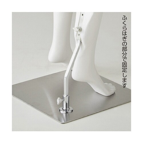 軽量PE製 婦人リアルマネキン 右手腰当てポーズ