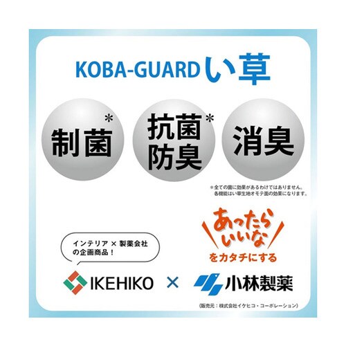 枕 い草 シンプル 約50×30cm ブラウン