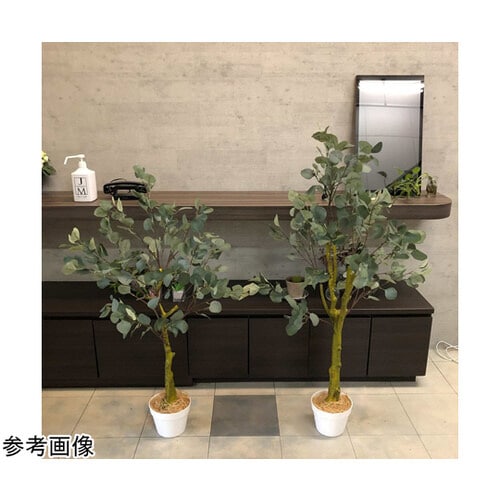 ユーカリ(フェイクグリーン 人工樹木)135cm