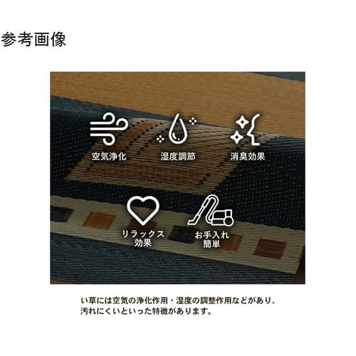 キリムシリーズラグ い草ラグ ストーリー